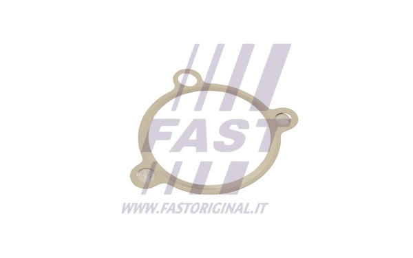 Gasket, EGR valve (FT50605)