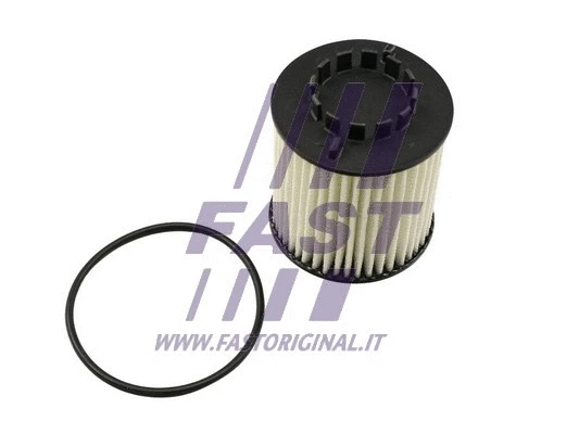 Oil Filter (FT38023)