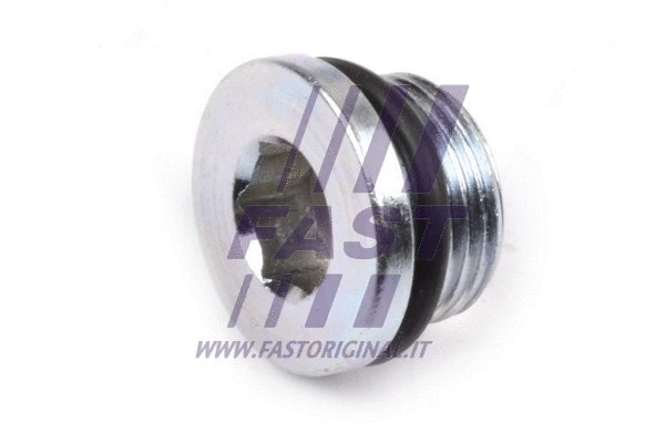 Screw Plug, oil sump (FT94713)