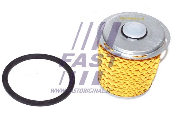 Fuel Filter (FT39102)