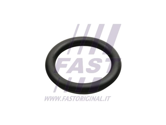 Gasket, intake manifold (FT49426)