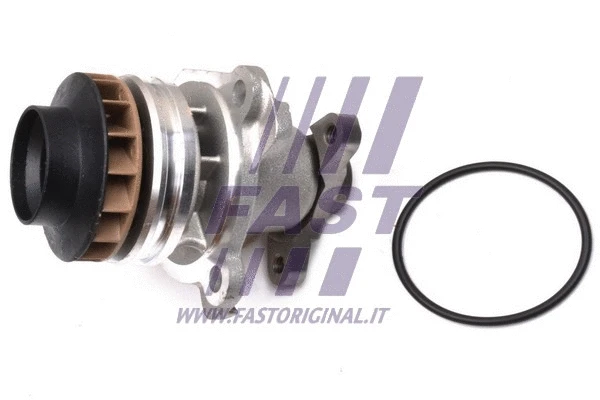 Water Pump, engine cooling (FT57181)
