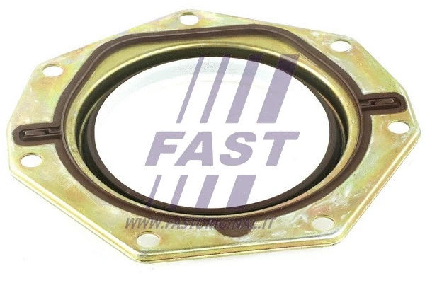 Shaft Seal, crankshaft (FT49713)