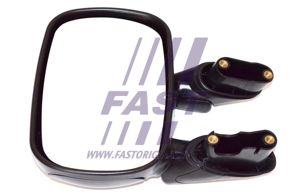 Exterior Mirror (FT88286)