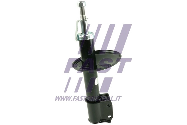 Shock Absorber (FT11018)