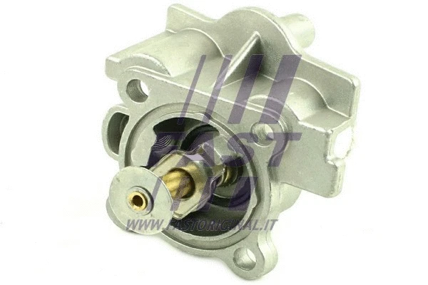 Thermostat, coolant (FT58165)