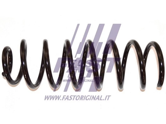 Suspension Spring (FT12209)