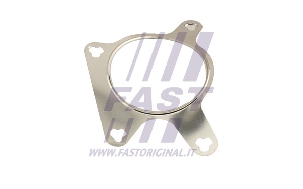 Gasket, EGR valve (FT50613)