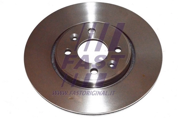 Brake Disc (FT31101)