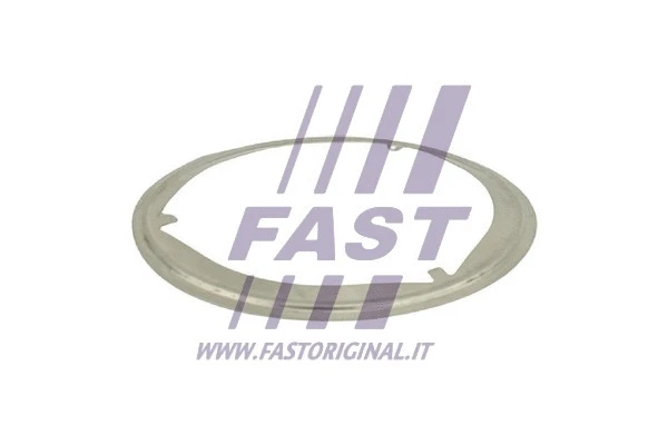 Gasket, exhaust pipe (FT84819)