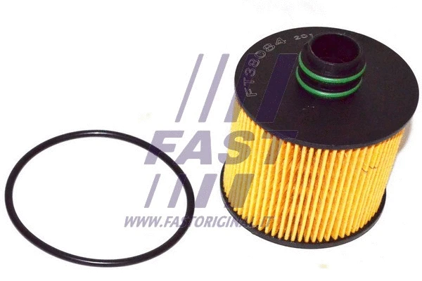Oil Filter (FT38084)