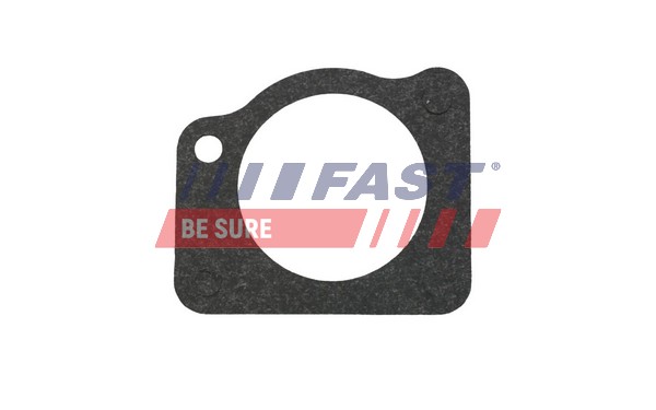 Gasket, water pump (FT57404)