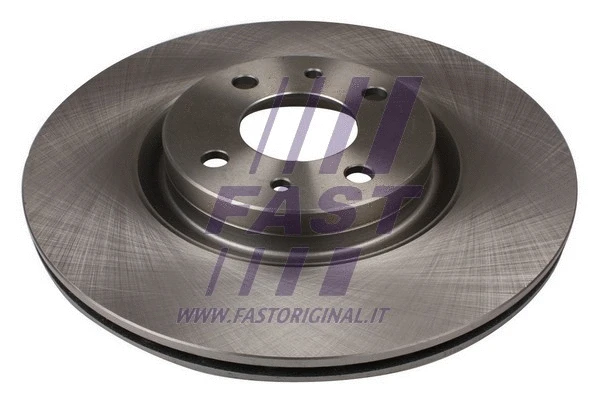 Brake Disc (FT31018)