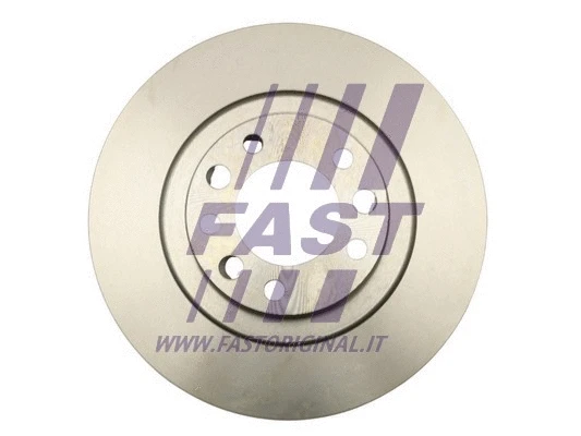 Brake Disc (FT31145)