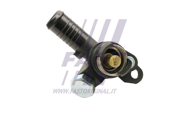 Thermostat, coolant (FT58197)