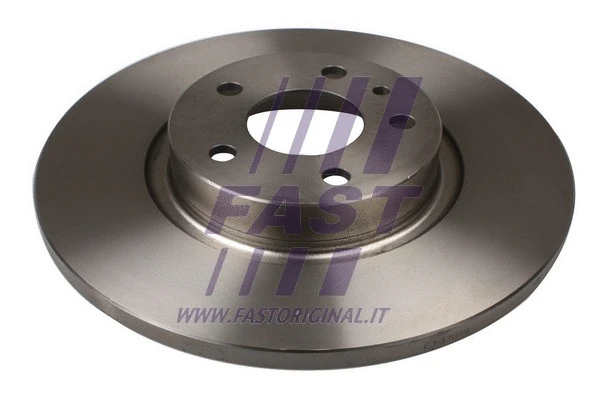 Brake Disc (FT31019)