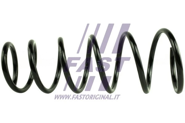 Suspension Spring (FT12229)