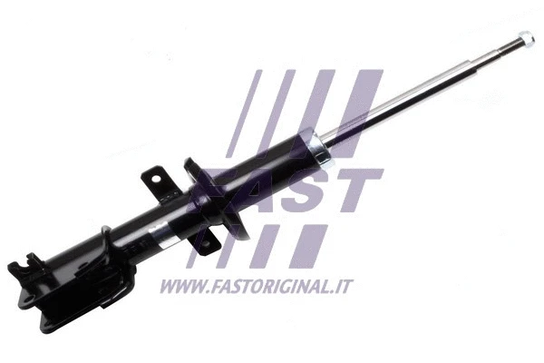 Shock Absorber (FT11713)