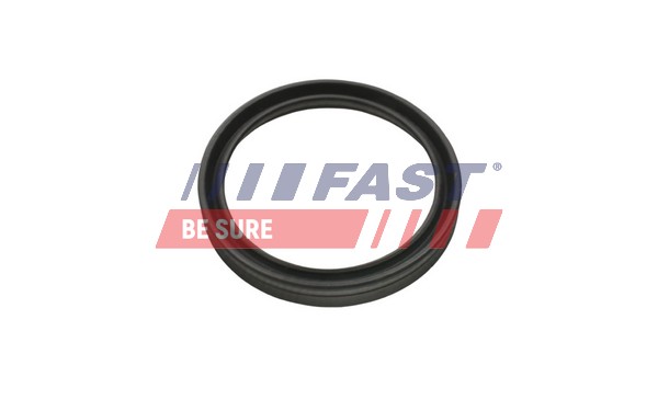 Seal Ring, charge air hose (FT48956)