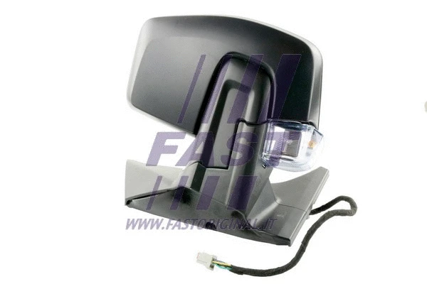 Exterior Mirror (FT88353)