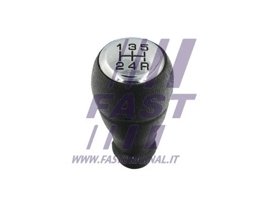 Gear Shift Lever Knob (FT73235)