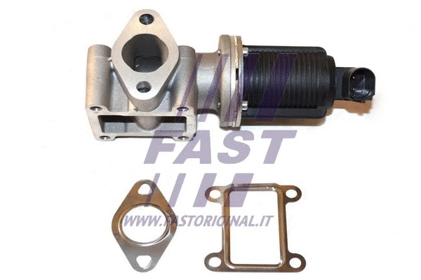 EGR Valve (FT60239)