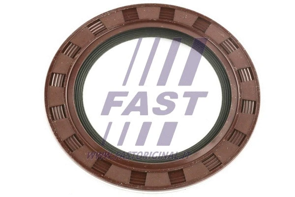 Shaft Seal, differential (FT49758)