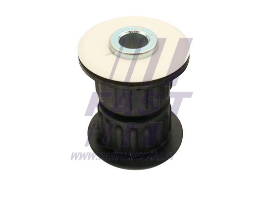 Mounting, leaf spring (FT13903)