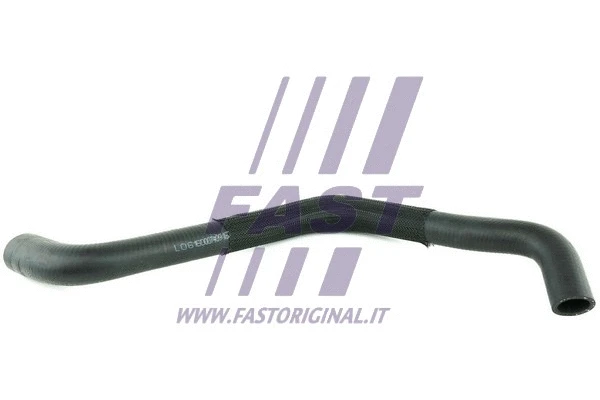 Radiator Hose (FT61673)