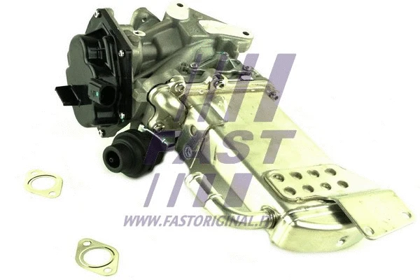 EGR Module (FT60424)