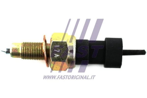Switch, reverse light (FT81083)