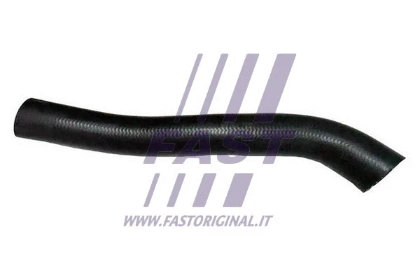Radiator Hose (FT61538)