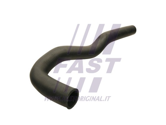 Radiator Hose (FT61491)