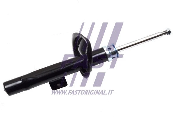 Shock Absorber (FT11307)