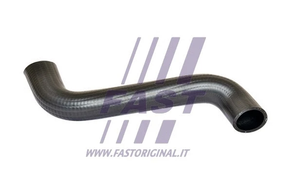 Radiator Hose (FT61539)