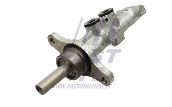 Brake Master Cylinder (FT33100)