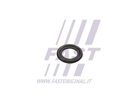 Seal Ring, oil drain plug (FT49860)