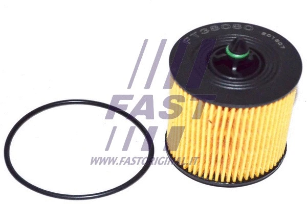 Oil Filter (FT38080)