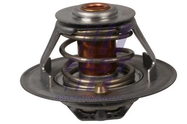 Thermostat, coolant (FT58113)