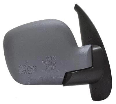 Exterior Mirror (11RN91805)