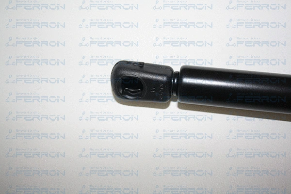 Gas Spring, boot/cargo area