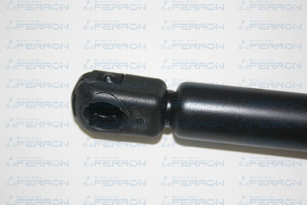 Gas Spring, boot/cargo area