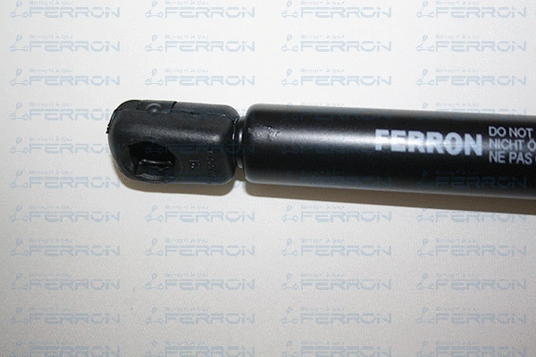 Gas Spring, boot/cargo area