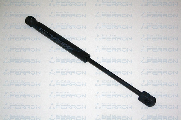Gas Spring, boot/cargo area (217)