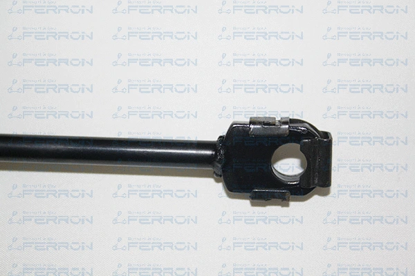 Gas Spring, bonnet