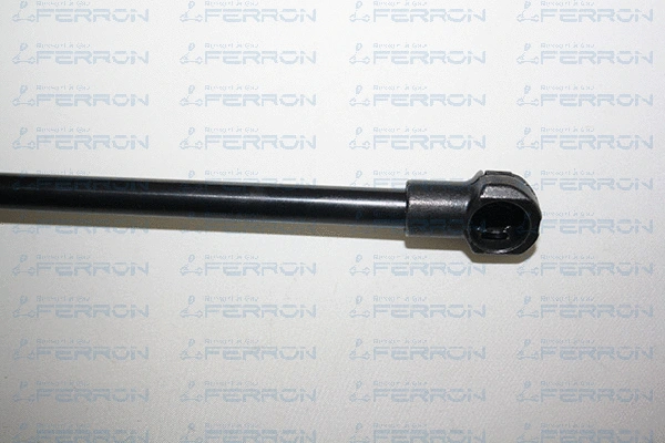 Gas Spring, boot/cargo area