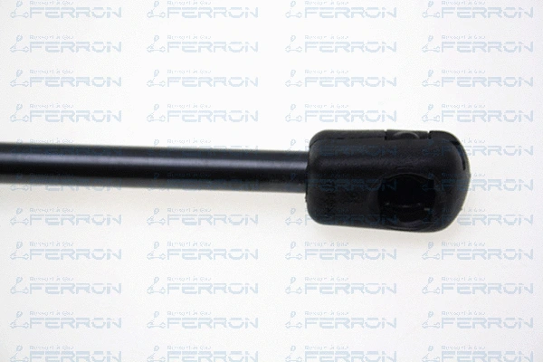 Gas Spring, boot/cargo area