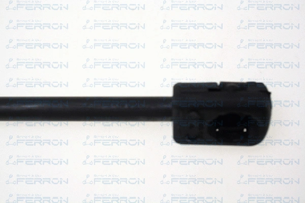 Gas Spring, bonnet