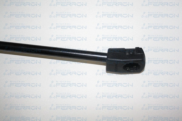 Gas Spring, boot/cargo area