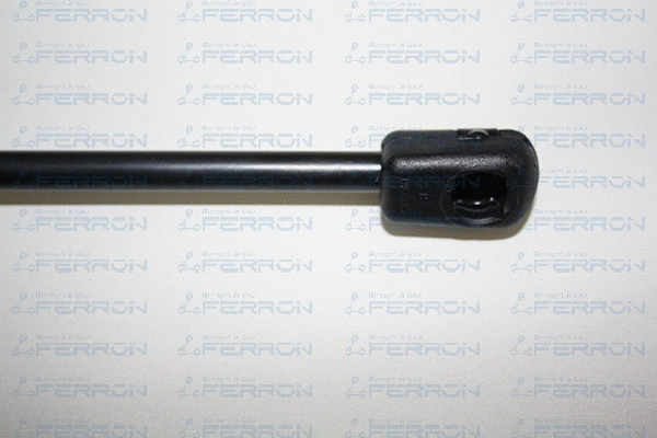 Gas Spring, boot/cargo area